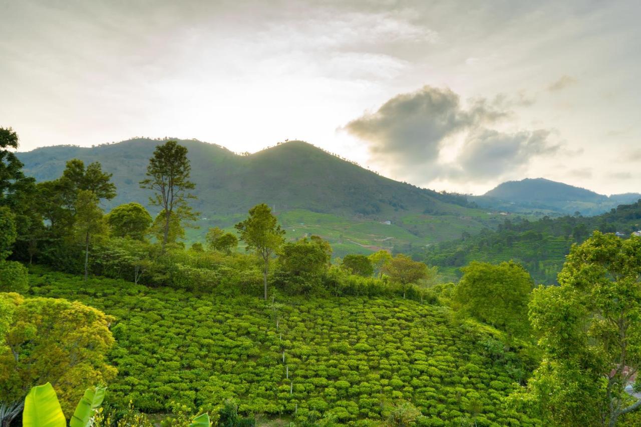Biosphere Coonoor Ngoại thất bức ảnh